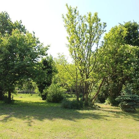 Axtburg Apartments Berbaltavar ภายนอก รูปภาพ