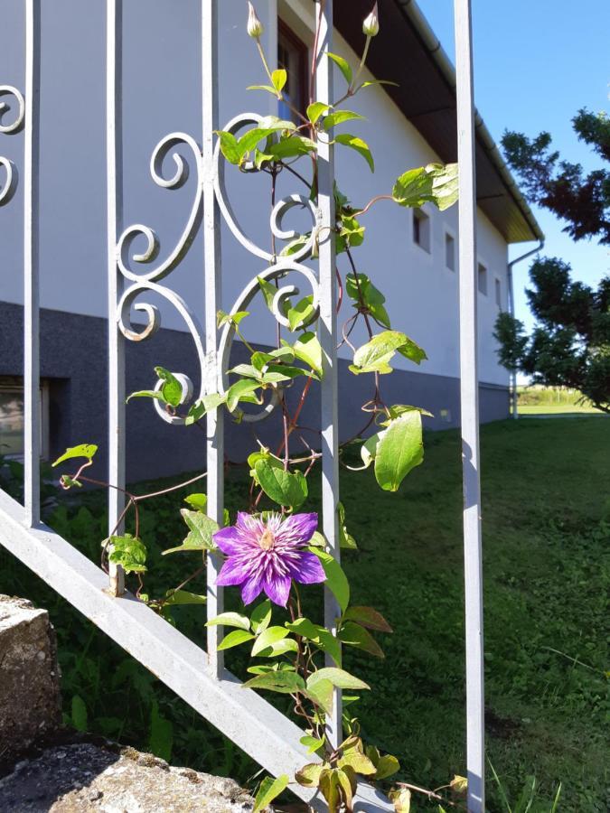 Axtburg Apartments Berbaltavar ภายนอก รูปภาพ
